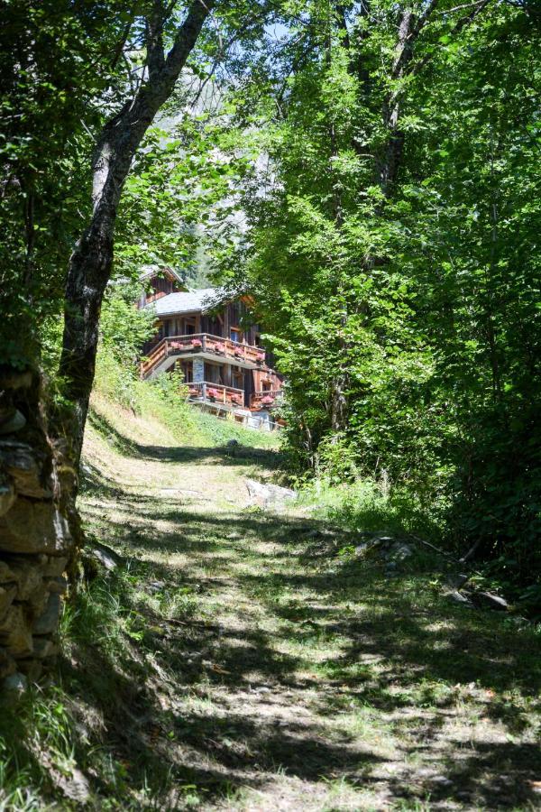 Chalet Des Trappeurs Coeur Vanoise 15 Persons La Plagne Exteriör bild
