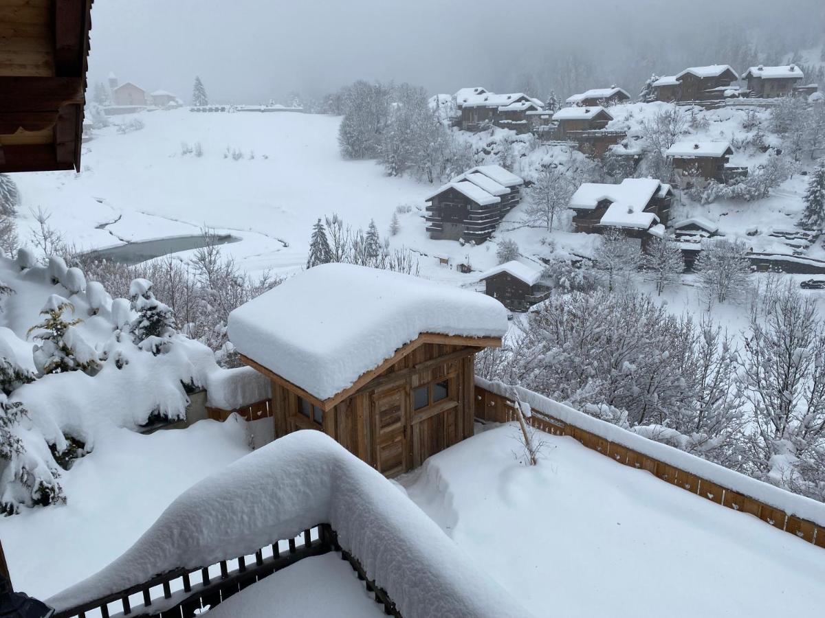 Chalet Des Trappeurs Coeur Vanoise 15 Persons La Plagne Exteriör bild